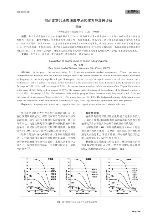 鄂尔多斯盆地东缘康宁地区煤系烃源岩评价