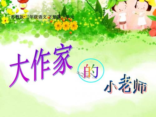 大作家的小老师 PPT优秀课件