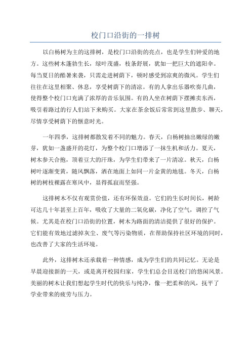 校门口沿街的一排树