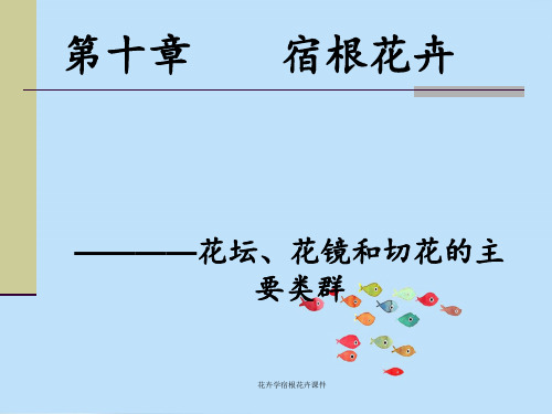 花卉学宿根花卉课件