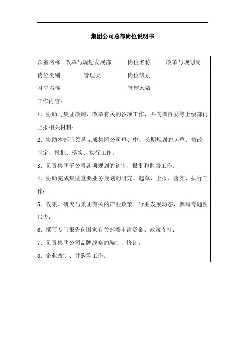 集团公司岗位说明书改革与规划