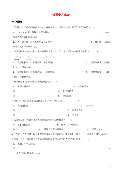中考历史复习专题训练 俄国十月革命(含解析) 新人教版