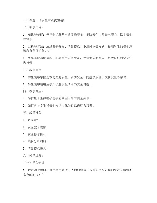 安全教育课小学优质课