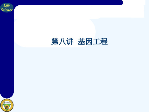 生物信息学讲义