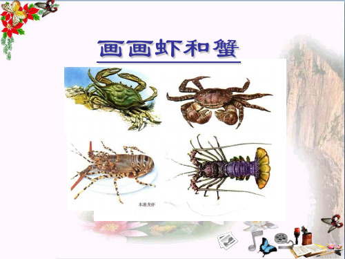 最新二年级美术上册画画虾和蟹说苏少版优选教学课件