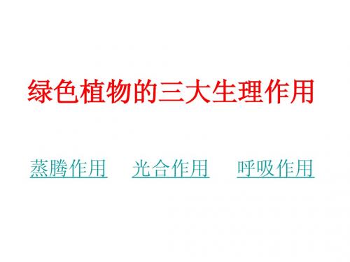 绿色植物的三大生理作用专题22222