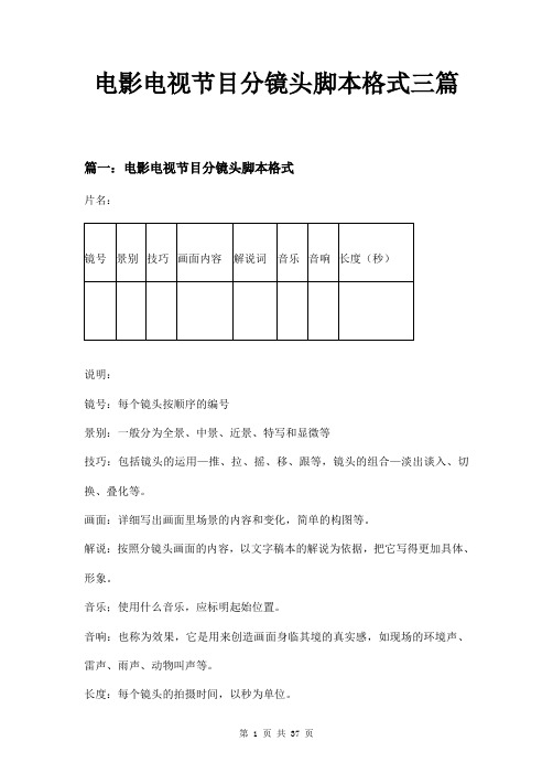 电影电视节目分镜头脚本格式三篇