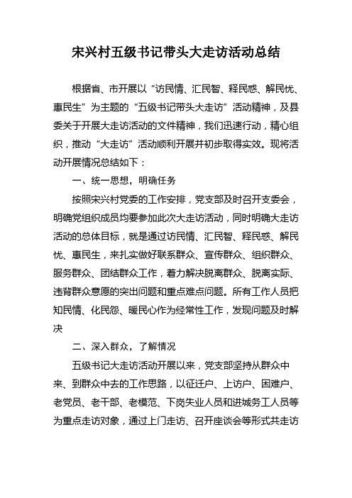 宋兴村五级书记带头大走访活动总结