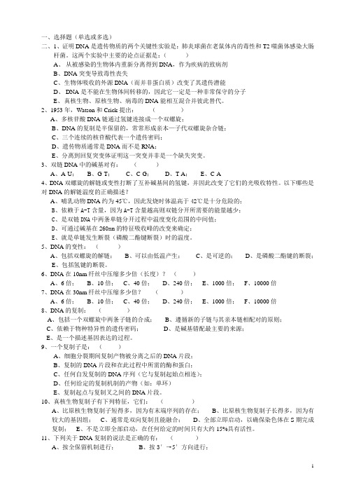 练习题一——DNA的复制