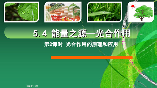 人教版必修生物：光合作用的原理和应用课件