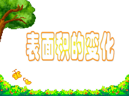 表面积的变化ppt课件