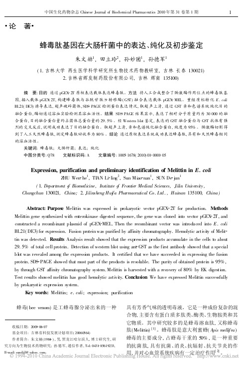 蜂毒肽基因在大肠杆菌中的表达、纯化及初步鉴定