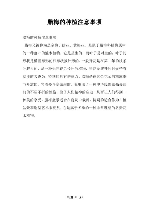 腊梅的种植注意事项