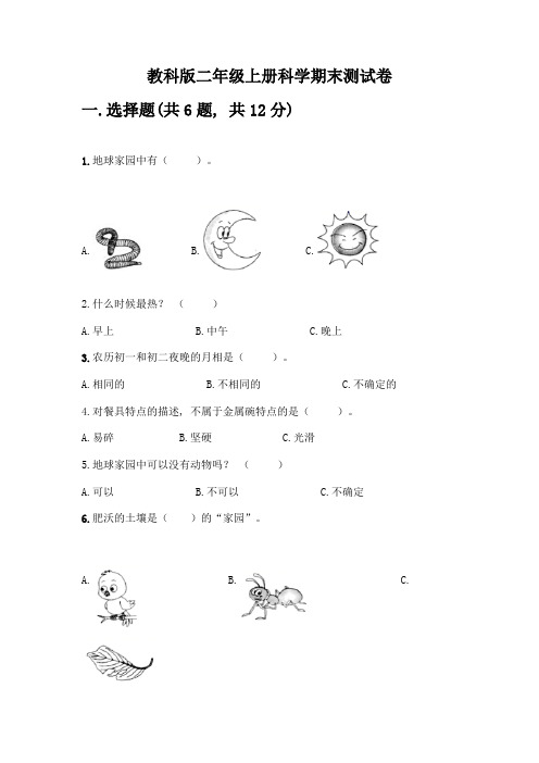 教科版二年级上册科学期末测试卷丨精品(含答案)