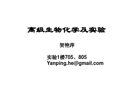 1第一章、氨基酸的结构及性质123