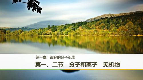 2018版高中生物浙科版必修一课件：1.1 分子和离子 无机物