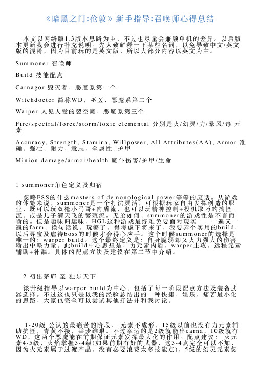 《暗黑之门伦敦》新手指导召唤师心得总结