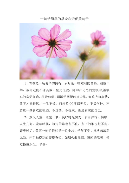 一句话简单的早安心语优美句子