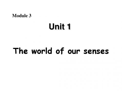 高二英语the-world-of-our-sense课件6