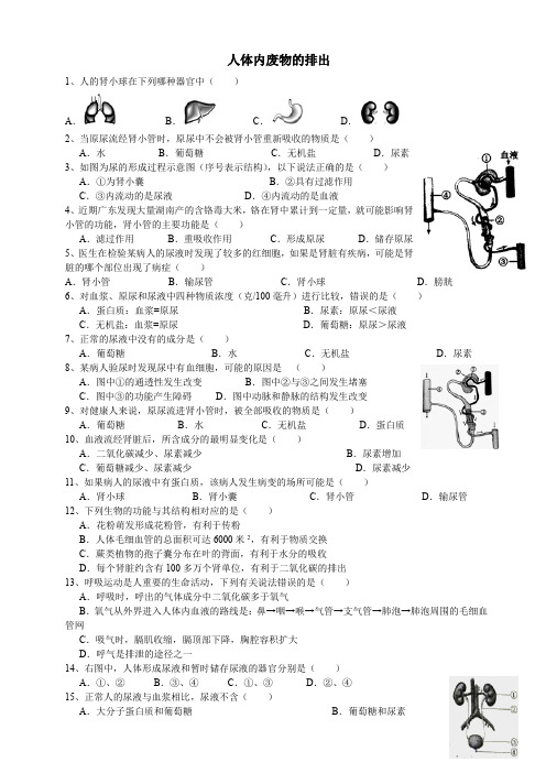 科教版初中科学生物精选题 11、排泄 - 附答案