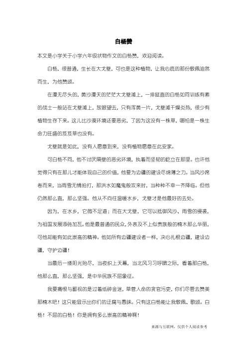 小学六年级状物作文：白杨赞