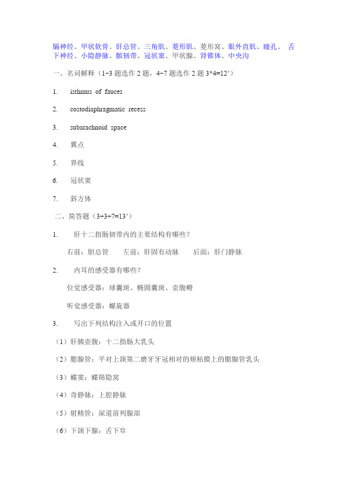 南医08级期末人体解剖考卷