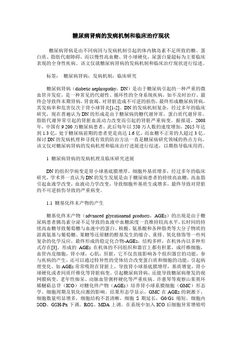 糖尿病肾病的发病机制和临床治疗现状