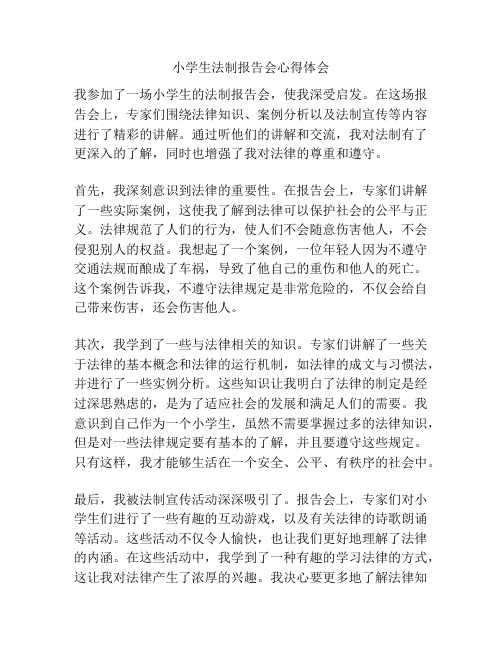 小学生法制报告会心得体会