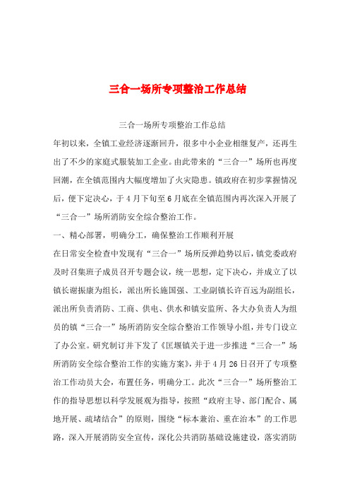 2019年整理--三合一场所专项整治工作总结