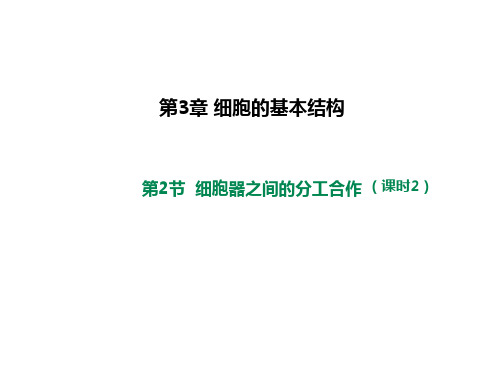 《细胞器之间的分工合作》人教版高中生物专家课件