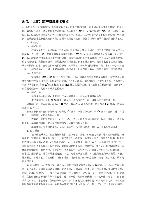 地瓜(甘薯)高产栽培技术要点
