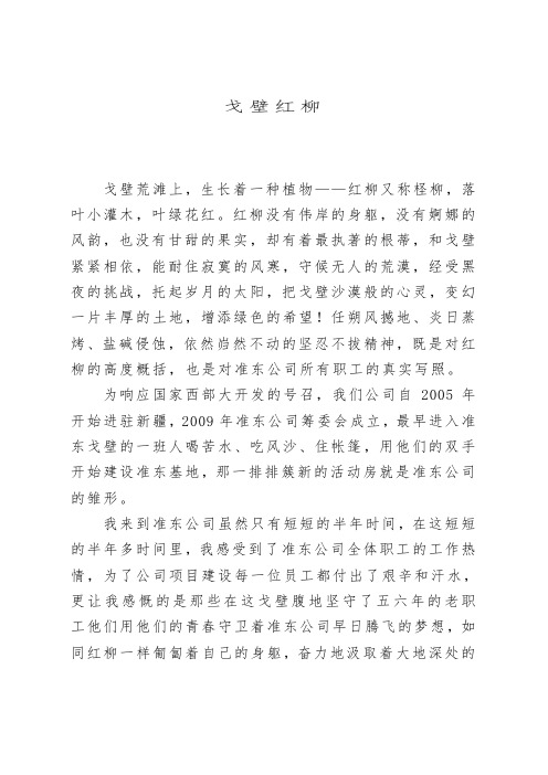 戈壁红柳,坚韧不拔