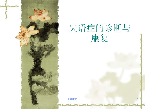 失语症的诊断与康复(精制医学)