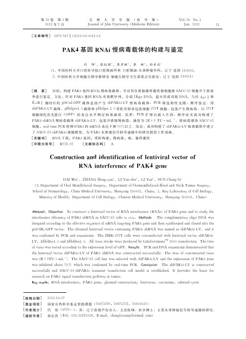 PAK4基因RNAi慢病毒载体的构建与鉴定
