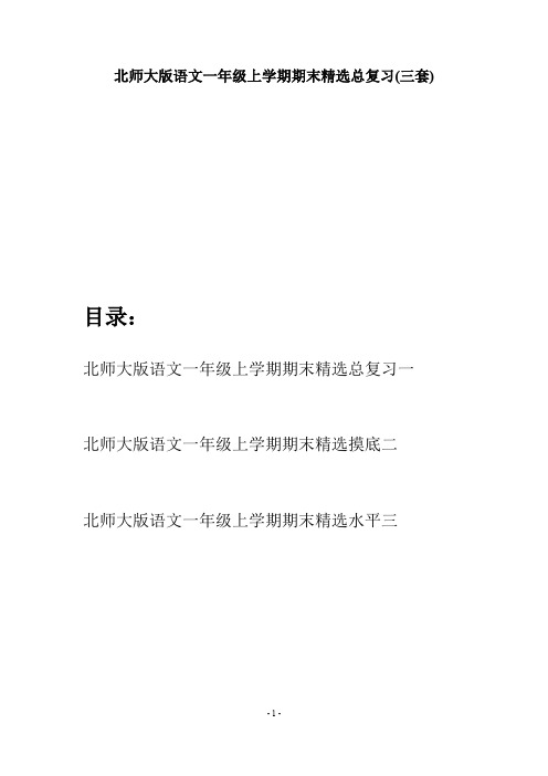 北师大版语文一年级上学期期末精选总复习(三套)
