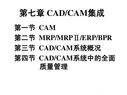 CADCAM第七章 CADCAM技术集成(1)