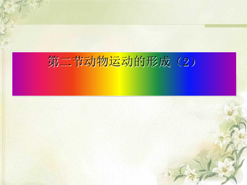 生物北师大版八年级上册第5单元第15章第2节动物运动的形成PPT课件