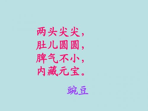 《一颗小豌豆》课件(语文S版三年级语文上册课件)