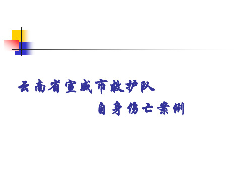 牺牲案例