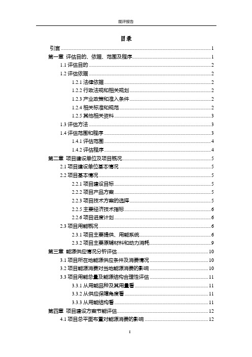 能评报告模板
