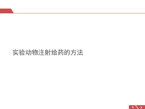 实验动物注射给药的方法  ppt课件