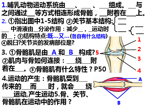 鲁科版生物八上7.2.2先天性行为和学习行为