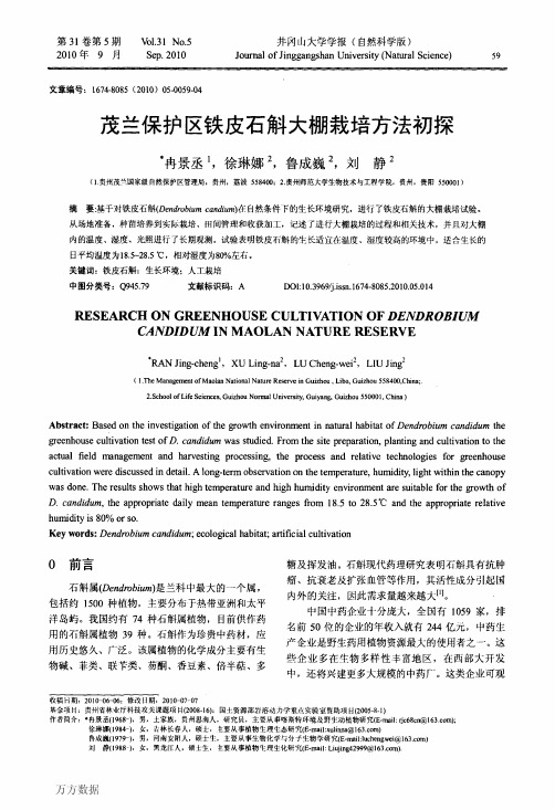 茂兰保护区铁皮石斛大棚栽培方法初探