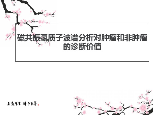 磁共振波谱成像  ppt课件  ppt课件