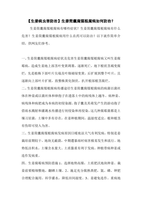【生姜病虫害防治】生姜简囊腐煤根腐病如何防治？