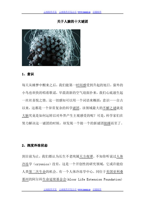 关于人脑的十大谜团