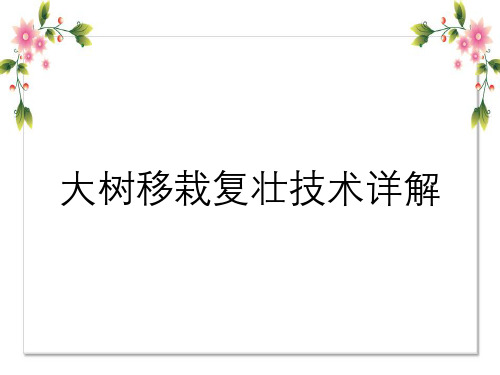 大树移栽复壮技术详解