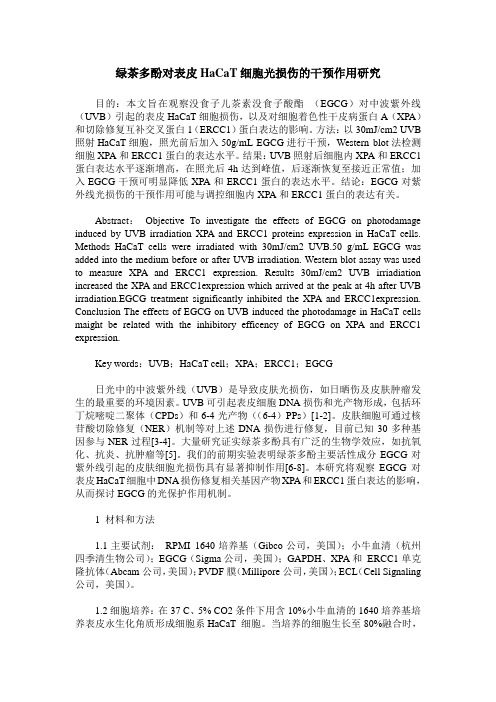 绿茶多酚对表皮HaCaT细胞光损伤的干预作用研究
