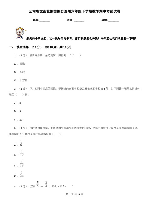 云南省文山壮族苗族自治州六年级下学期数学期中考试试卷