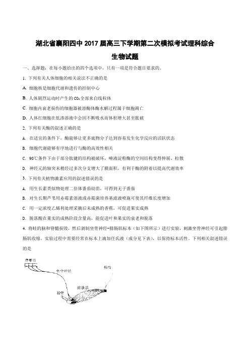 2017届湖北省襄阳四中高三下学期第二次模拟考试理科综合生物试题(原卷版)